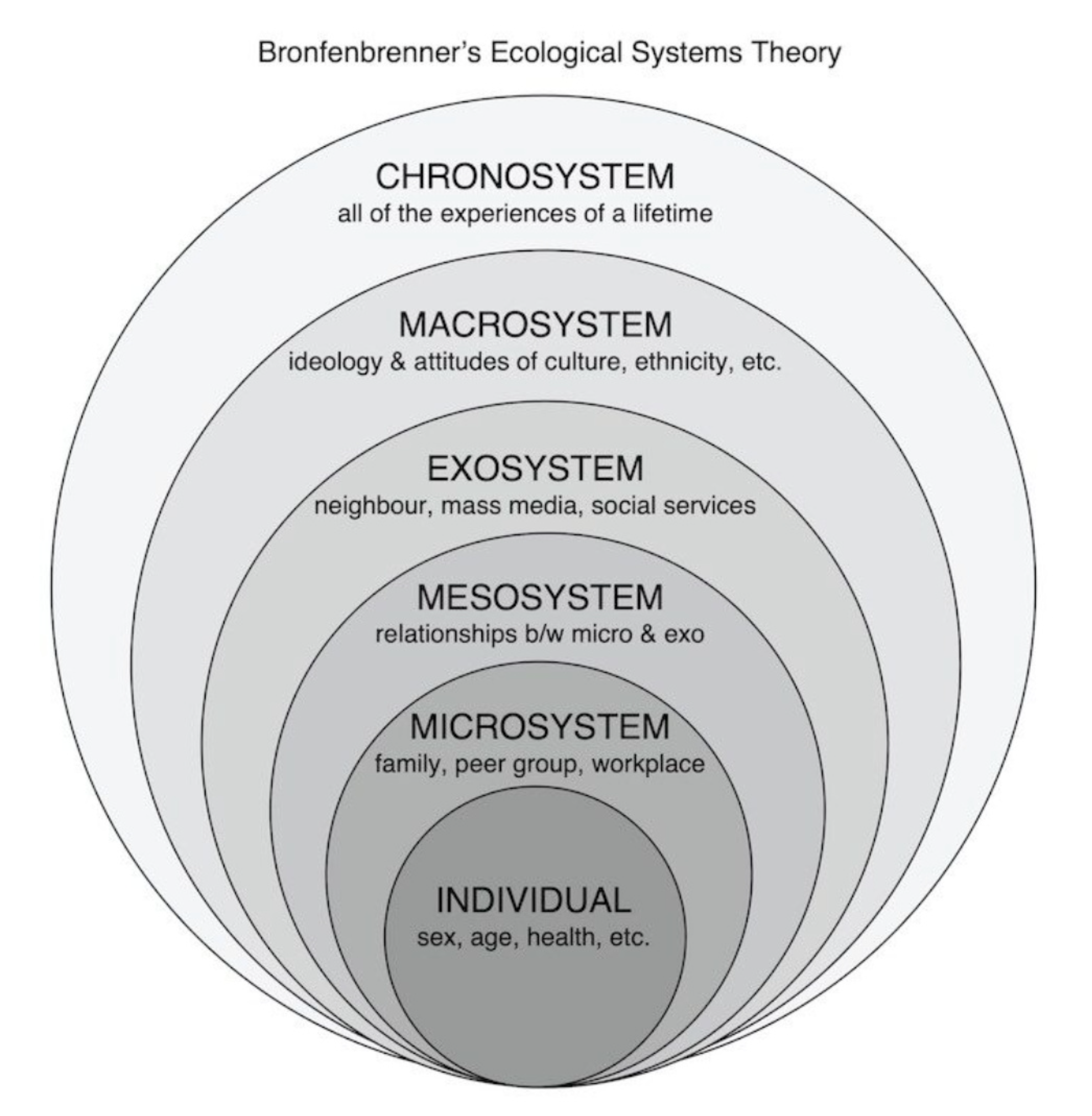 Ecological Systems Theory - image